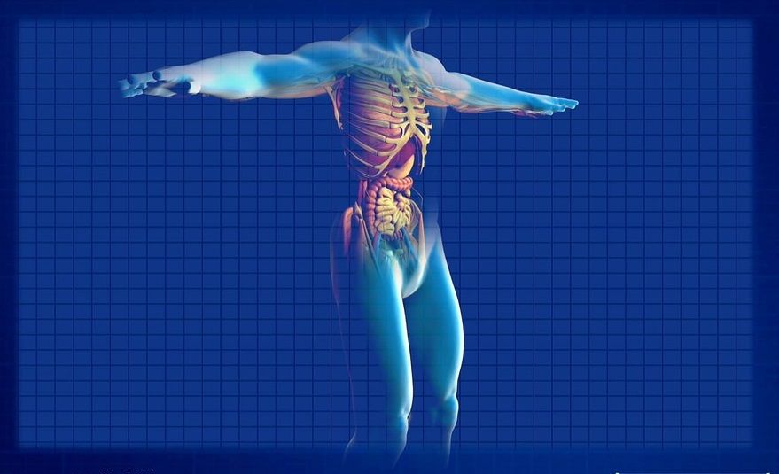 cuerpo equilibrio