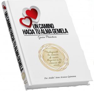 Lee más sobre el artículo UN CAMINO HACIA TU ALMA GEMELA